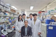 KAIST, 대장암세포를 죽이지 않고 정상세포로 돌리는 원천기술 개발