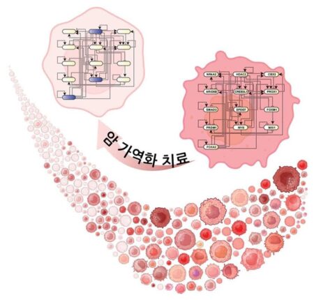 암 세포를 정상화시키는 ‘가역 치료’ 원천기술 개발