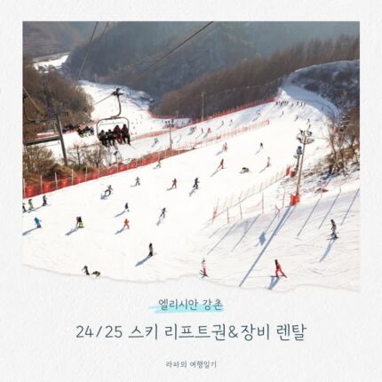 엘리시안 강촌 24/25 스키 리프트권&장비 렌탈