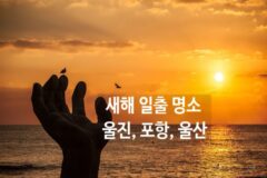 동해선이 지나는 울진 포항 울산 새해 일출 명소 추천