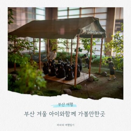 부산 겨울 아이와함께 가볼만한곳 온천천 빛축제, 100층 전망대, 부산 임시수도기념관