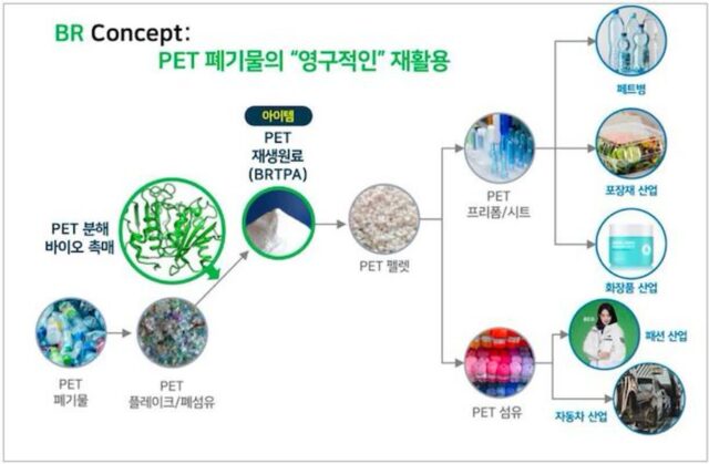 국내 산학연구팀 일 냈다…세계 최고 성능 바이오촉매 개발