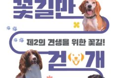 “은퇴한 검역탐지견의 가족을 찾아요” 검역본부, 2025년 민간 입양 실시