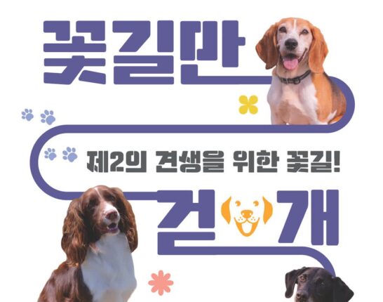 “은퇴한 검역탐지견의 가족을 찾아요” 검역본부, 2025년 민간 입양 실시