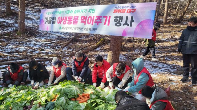 대구광역시, 야생동물 먹이주기 행사 실시