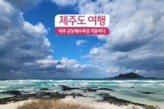 제주도 여행 제주 금능해수욕장 겨울 여행