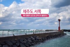 제주도 서쪽 제주 월령리 선인장 군락 & 월령포구