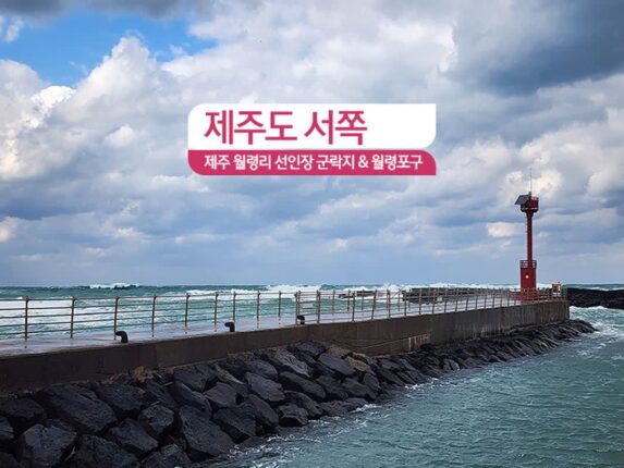 제주도 서쪽 제주 월령리 선인장 군락 & 월령포구