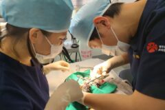 광주 우치동물원, ‘천연기념물 동물치료소’ 지정…’재활·적응훈련까지 담당’