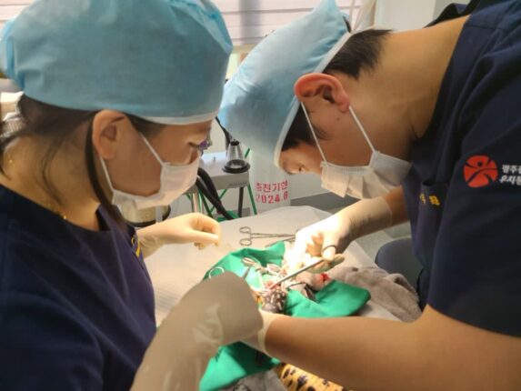 광주 우치동물원, ‘천연기념물 동물치료소’ 지정…’재활·적응훈련까지 담당’