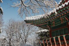 새벽을 여는 셰프의 손맛…메이필드호텔의 설 선물세트 선보여
