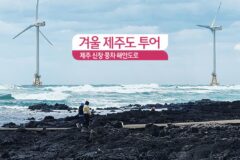 겨울 제주도 투어 제주 신창 풍차 해안도로