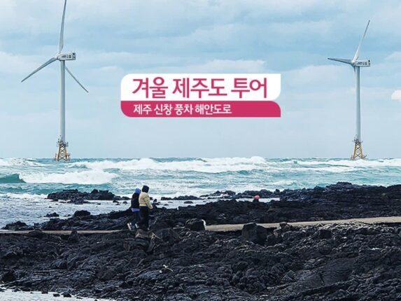 겨울 제주도 투어 제주 신창 풍차 해안도로
