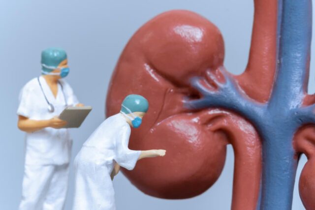 신장 기능 약해지면 면역력도 약해진다