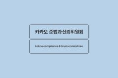 카카오 “대규모 투자시 사전·사후검토 강화…자회사 상장시 주주보호”