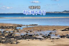 아담 사이즈 제주도 해수욕장 하도해수욕장 나 홀로 여행