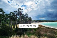 김포공항 국내선 出 제주도 1박 2일 여행 來