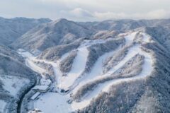 겨울 끝나기 전에 가야 할 서울 근교 눈썰매 & 스키장 4