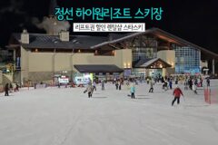 정선 하이원리조트 스키장 리프트권 할인 렌탈샵 스타스키