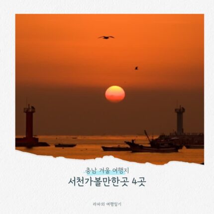 충남 겨울 여행지 서천가볼만한곳 4곳(장항스카이워크 전망대, 씨큐리움, 마량포해돋이마을)