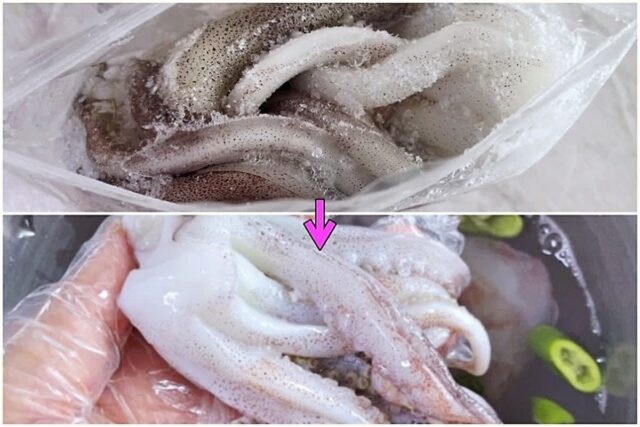 냉동 오징어 이렇게 해동 해보세요! 생물처럼 탱글탱글 맛있어져요~