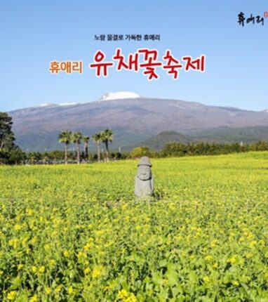 제주 휴애리, 제주 겨울을 대표하는 2025 휴애리 유채꽃 축제 개막