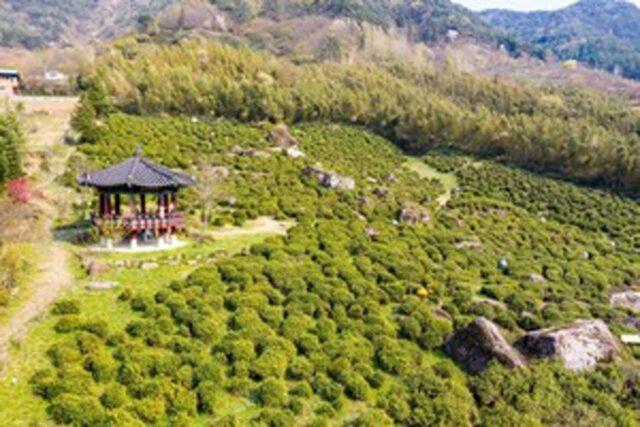 2025 한국관광공사 100 선정 경남 여행지 추천