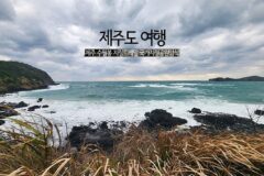 제주도 여행 제주 수월봉 지질트레일 국가지질공원암석