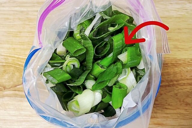 대파 냉동할때 제발 ‘이것’ 넣어보세요! 삶의 질이 올라갑니다~