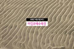 서해안 여행 태안 바다 고요한 마검포 해수욕장