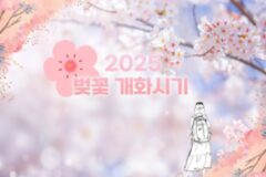 2025년 국내 벚꽃 개화 시기 예측하기