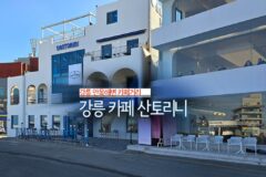 강릉 안목해변 카페거리 강릉 카페 산토리니