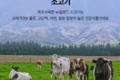 뉴질랜드 펫푸드, 오늘(3일)부터 일주일간 ‘어바웃 펫 뉴질랜드관’ 프로모션 진행