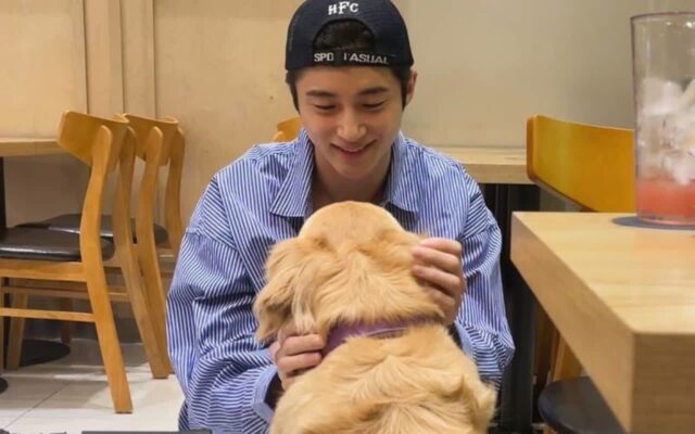 골든 리트리버의 날, 댕댕이 상 스타 모아보기