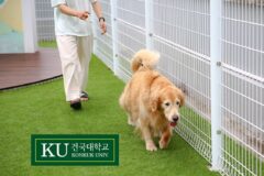 건국대 미래지식교육원, 반려동물 전문가 양성 위한 ‘애완동물관리전공’ 신설