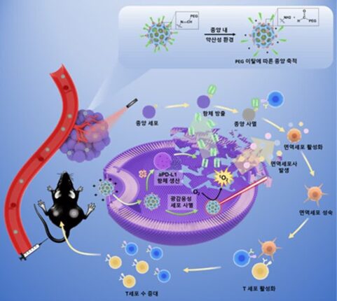 암 세포 내부의 ‘트로이 목마’, 암 치료 패러다임 전환 기대