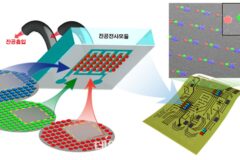 2월 과학기술인상, 이건재 KAIST 석좌교수 선정