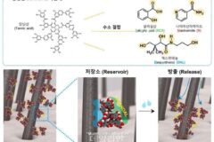 ‘탈모 최대 90% 감소’…KAIST, 탄닌산 기반 코팅 기술 활용한 탈모 예방 기술 개발