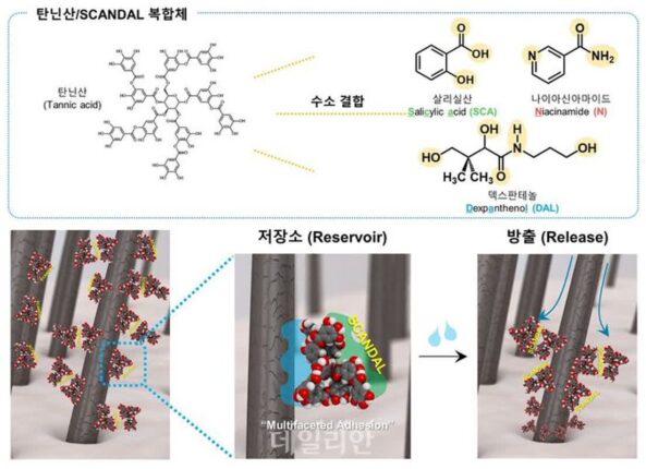 ‘탈모 최대 90% 감소’…KAIST, 탄닌산 기반 코팅 기술 활용한 탈모 예방 기술 개발