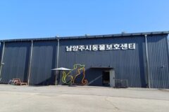 남양주시, 반려동물 친화적 환경 조성 위한 사업 추진