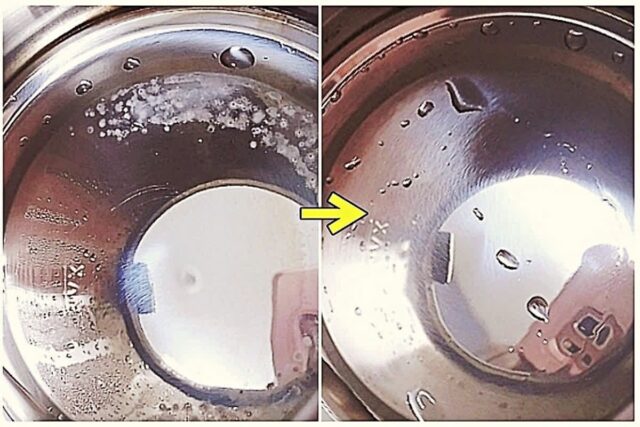 커피포트 세균덩어리 ‘석회’ 제거는 이 방법이 정말 최고네요~