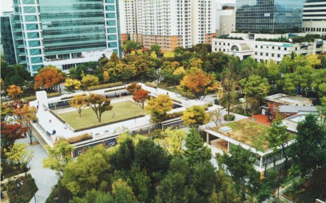 공원에도 수선이 필요하다