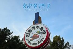 충남 가볼 만한 곳 태안여행  서해바다 안면해수욕장