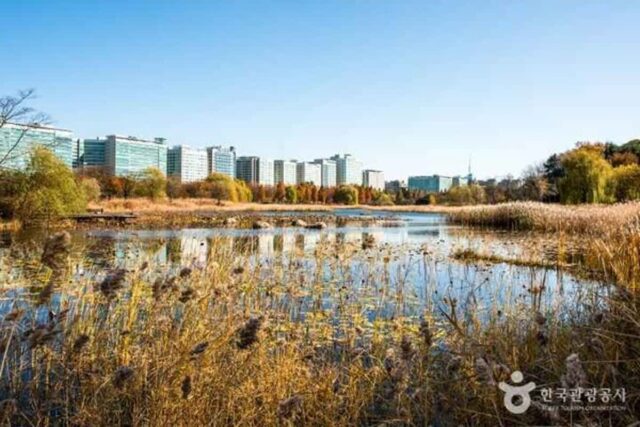 일산, 자연과 도시가 조화를 이루는 곳일까?