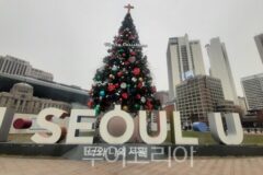 서울 12일 새벽 눈 예보… 서울시, 제설 비상근무 1단계 돌입