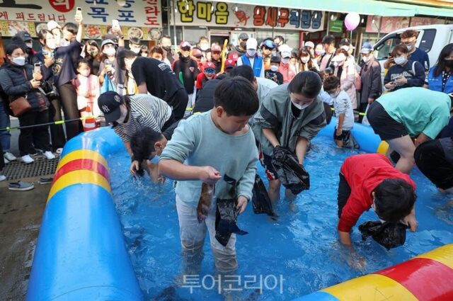 시흥월곶포구축제, 2025년 ‘경기대표관광축제’ 선정