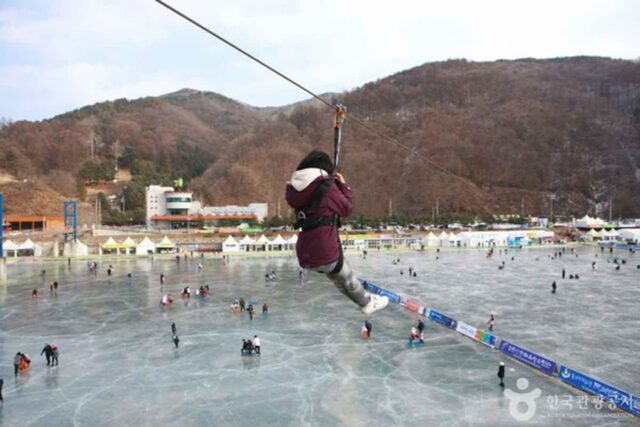 화천산천어축제, 올해도 성공적 개최…100만 명 방문