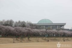 국회의사당 근처 가볼 만한 곳…여의도의 숨은 명소