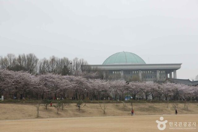 국회의사당 근처 가볼 만한 곳…여의도의 숨은 명소