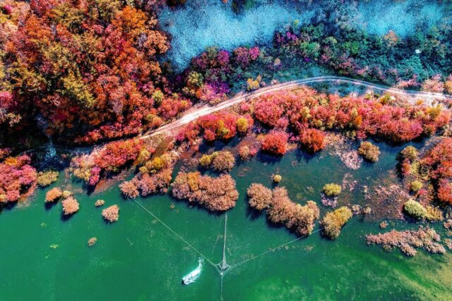 “이래서 200만 명이나 찾았네”… 자연의 신비를 간직한 힐링 여행지
